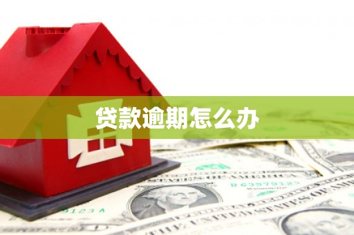 额济纳旗贷款逾期怎么办