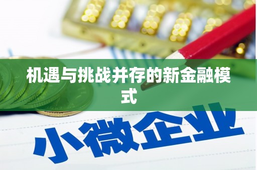 长岭机遇与挑战并存的新金融模式