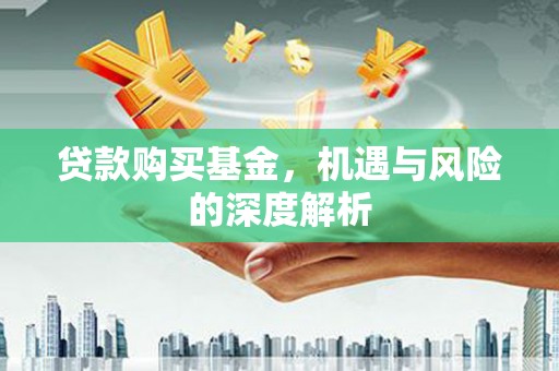 龙凤贷款购买基金，机遇与风险的深度解析