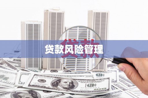 高平贷款风险管理