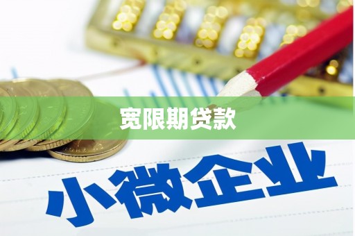 龙凤宽限期贷款