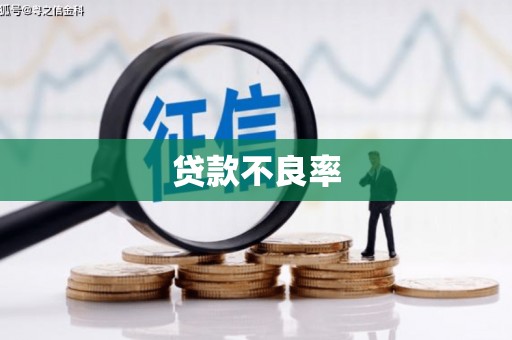 民勤贷款不良率