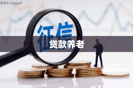 杨陵贷款养老