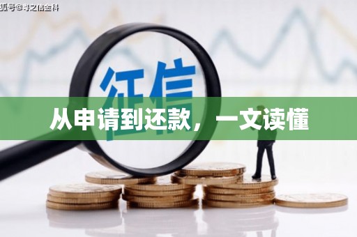 芙蓉从申请到还款，一文读懂